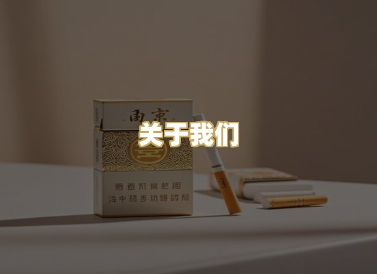 关于我们